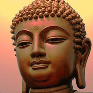 Meet your Posher, Kui